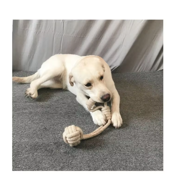 Robust Chew Toy Set Made Of Rope - Long - Lasting Fun For Dogs