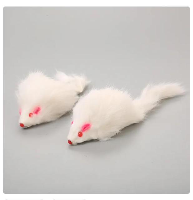 Interactive Cat Toy - Toy Mouse With String To Pull