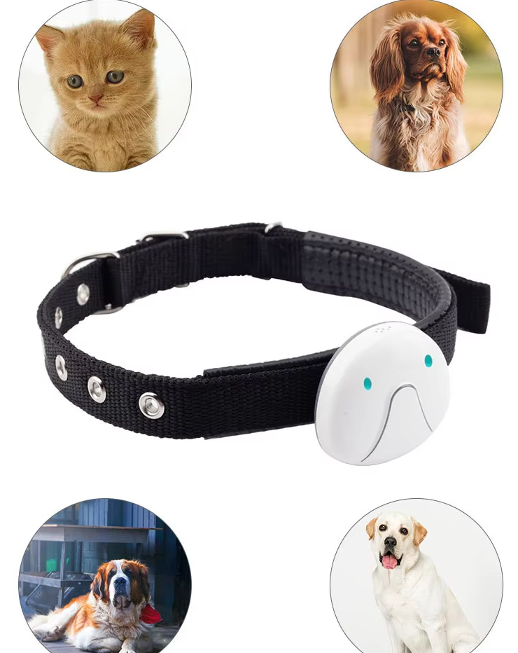 Dog Collar With Gps Tracker - Easy To Attach And Reliable