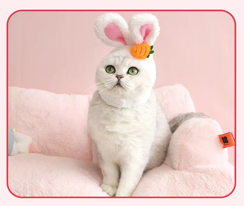 Cute Bunny Ears Cat Hat With Carrot Or Flower Design For Cute Pet Photos