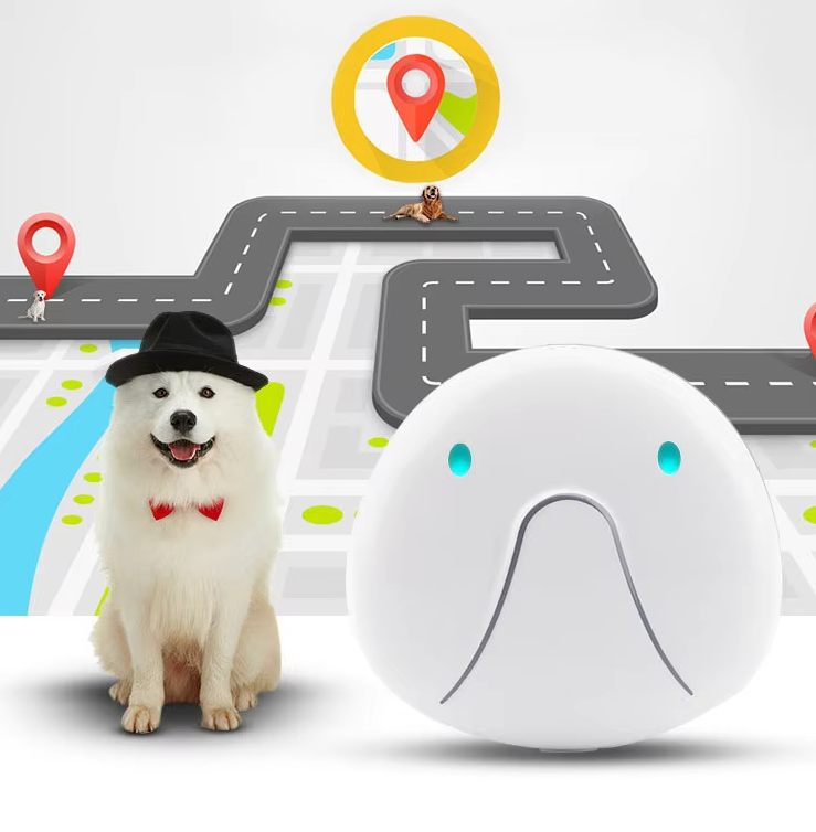 Dog Collar With Gps Tracker - Easy To Attach And Reliable