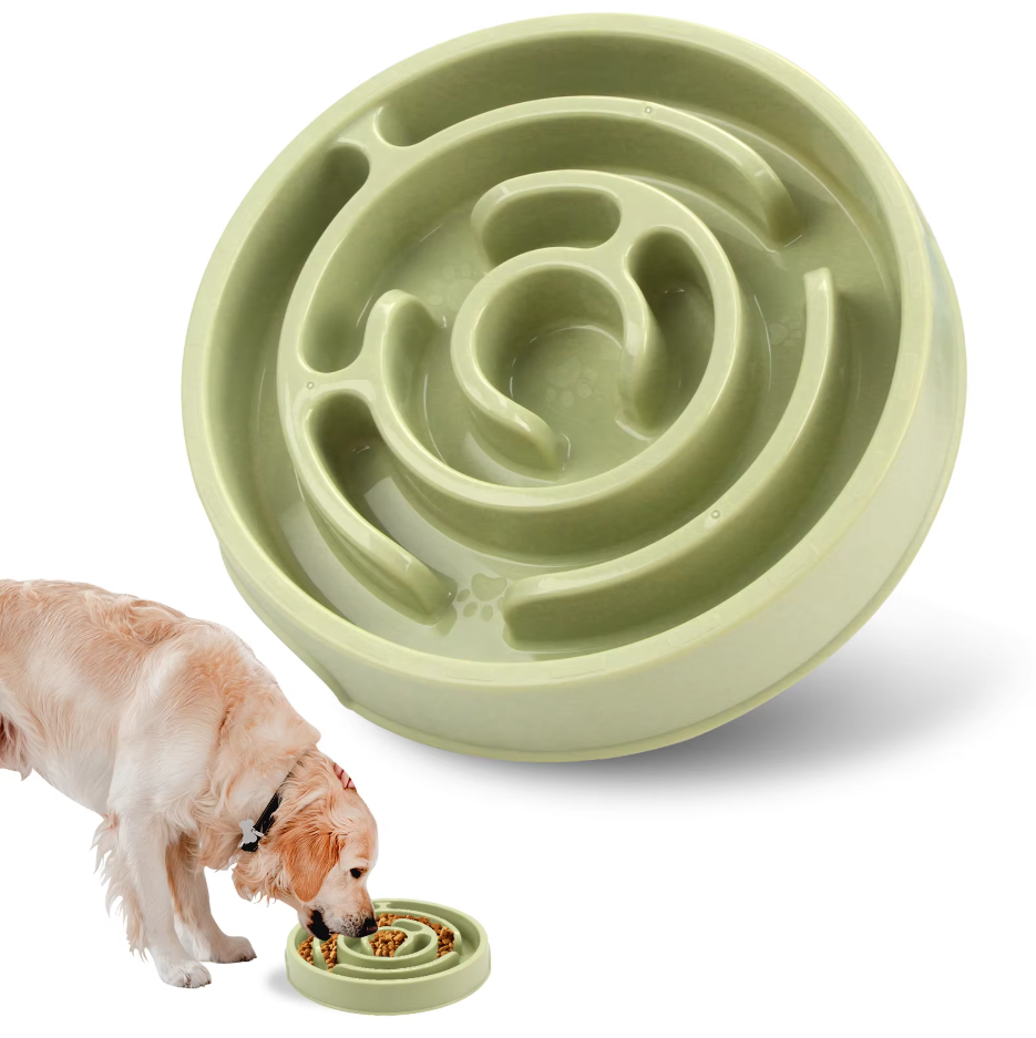 Slow Food Bowl For Dogs