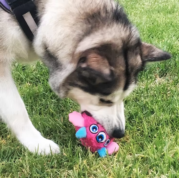 Interactive Plush Monster Ball - Fun Toy For Dogs