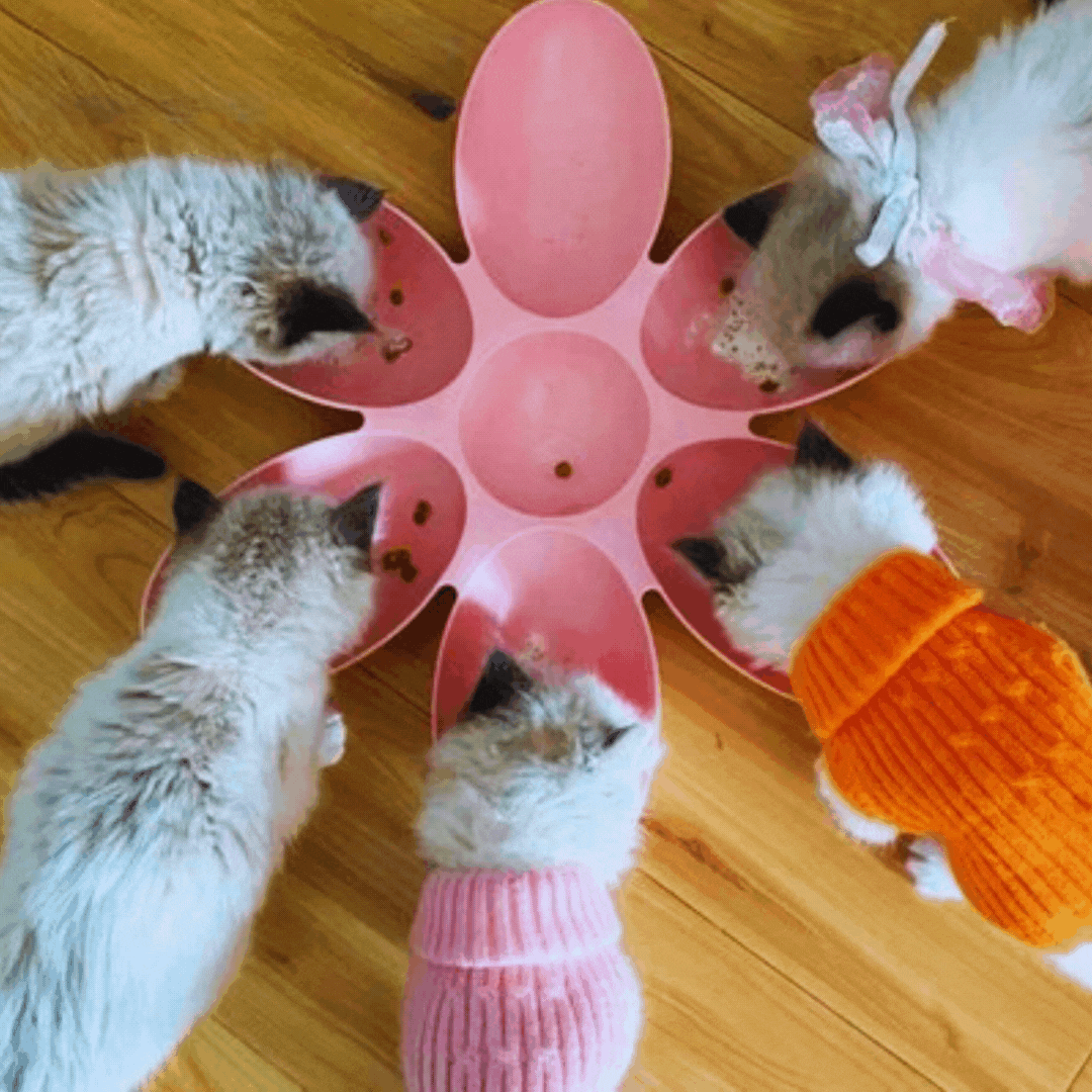 Flower-shaped Feeding Dish For Cats - 6 Bowls In Different Colors
