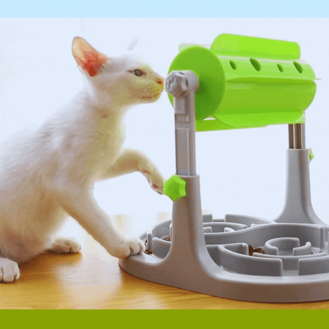 Interactive Food Dispenser For Dogs With Rotation Function And Anti - Snacking Bowl