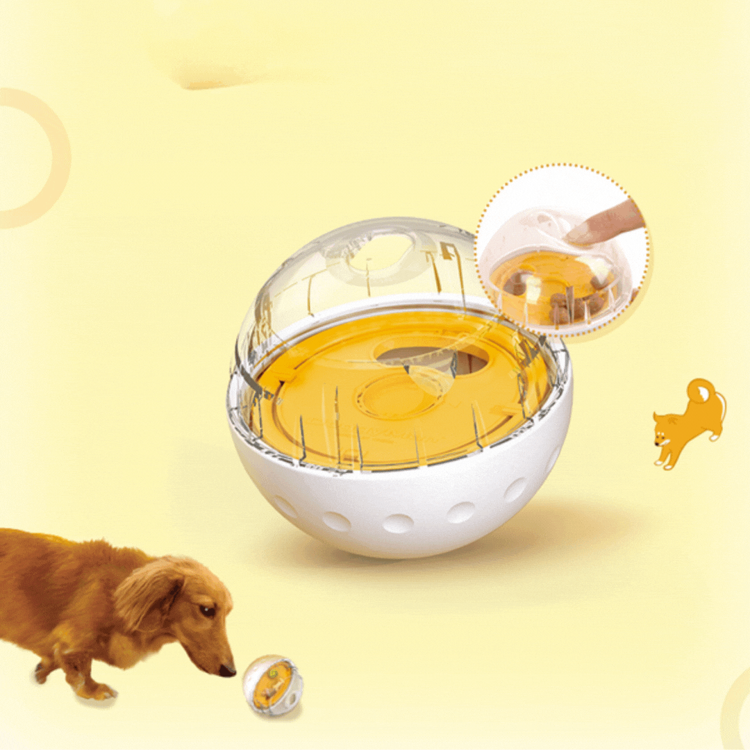 Interactive Food Ball for Dogs - Encourages Play and Food Intake