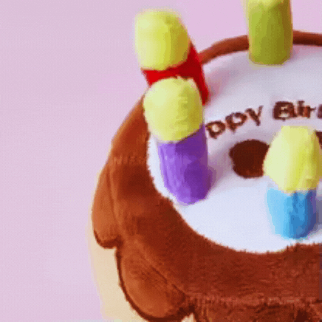 Birthday Cake Dog Toy - with Candles and Plush