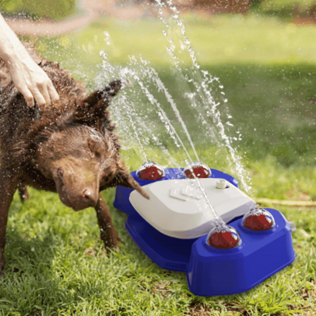 Sprinkler Toy For Pets - Interactive Water Jet Shower For Dogs