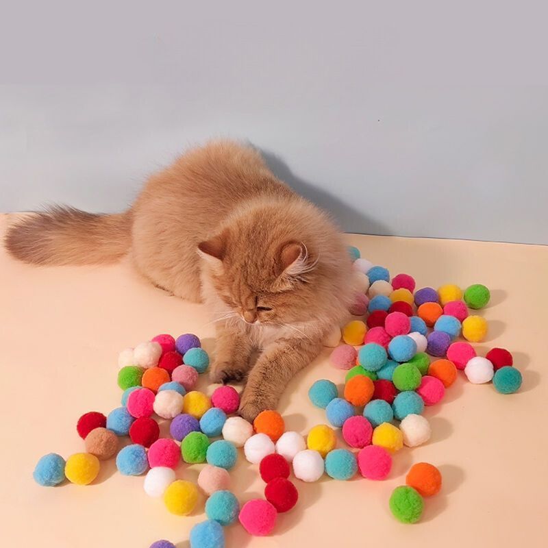 Cat Toy Cannon