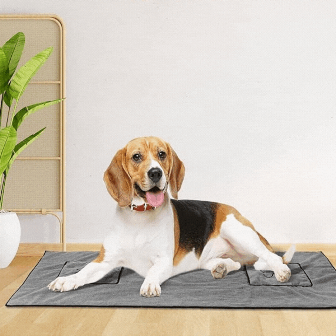 Microfibre Towel for Pets with Integrated Handbags