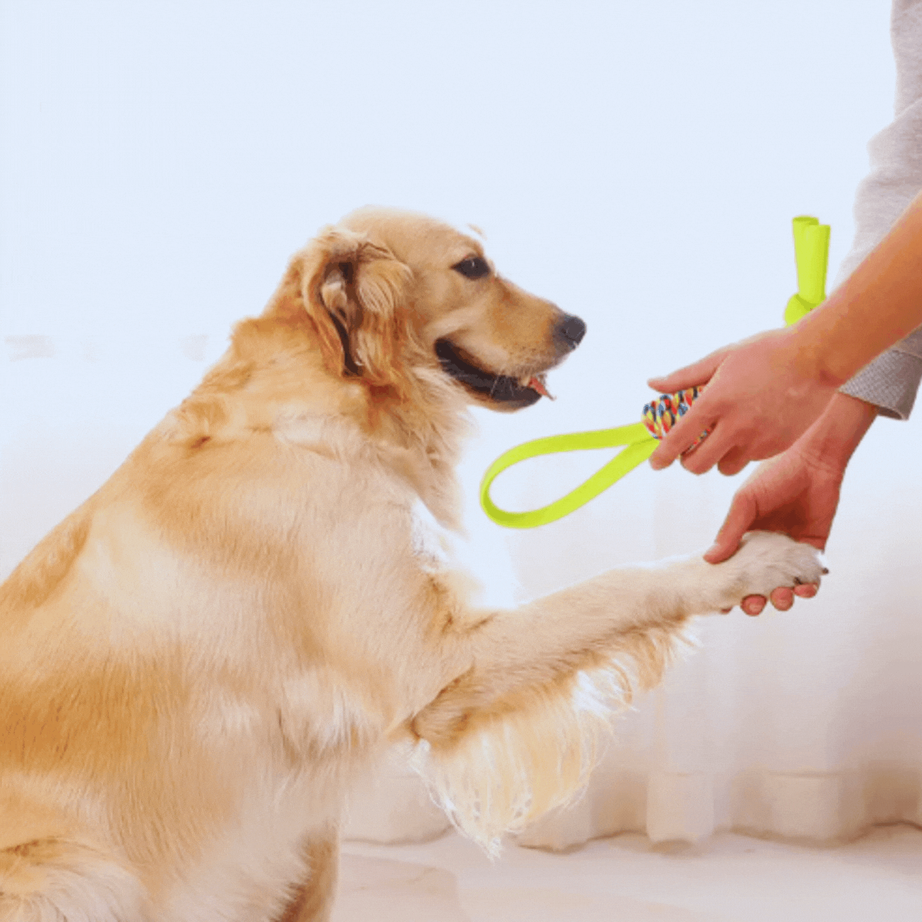 Dog Toy Made of Rope - Colourful Pull Rope for Chewing and Playing