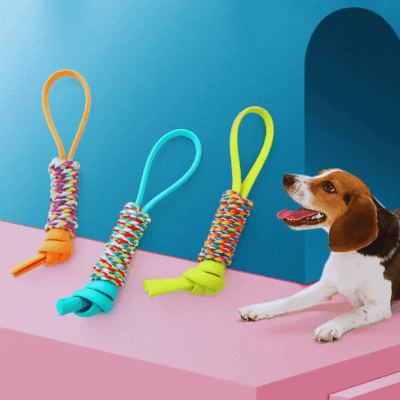 Dog Toy Made of Rope - Colourful Pull Rope for Chewing and Playing