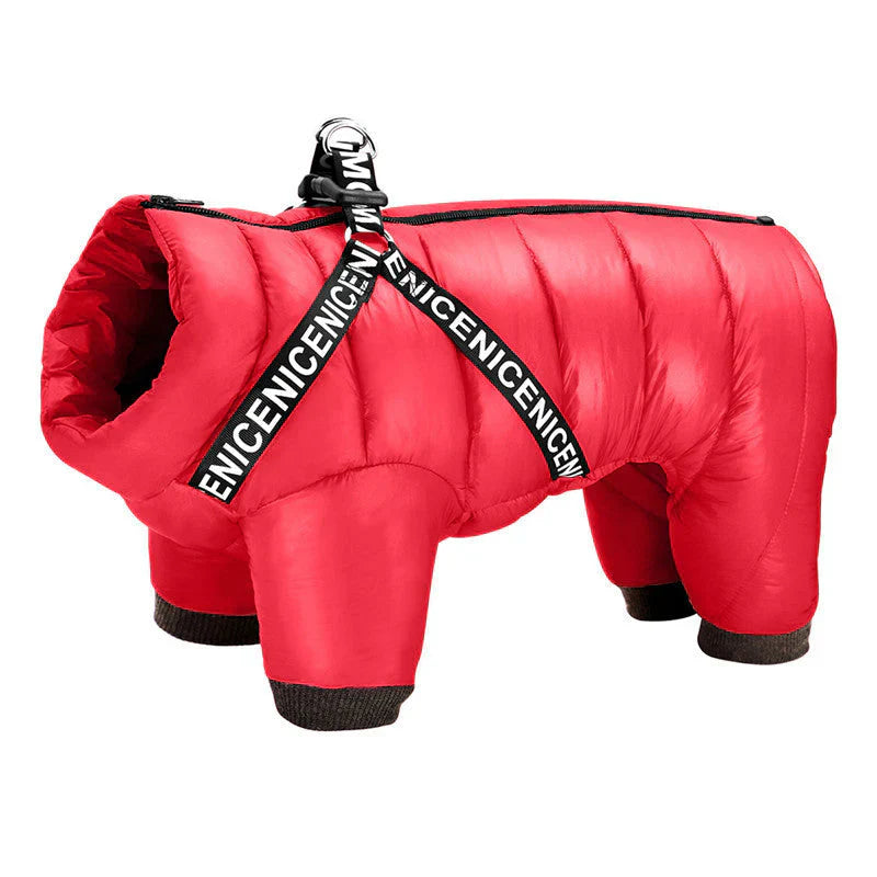 Dog Winter Coat For Cold Days