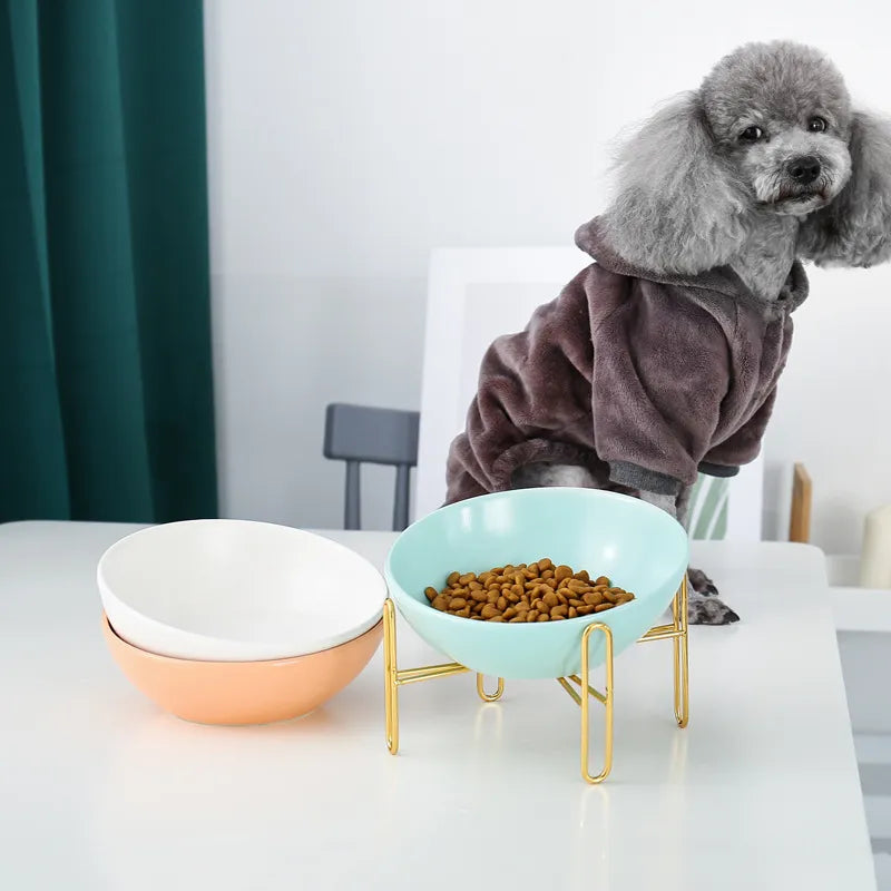 Raised Food Bowl For Dogs And Cats - Stylish Design With Metal Stand