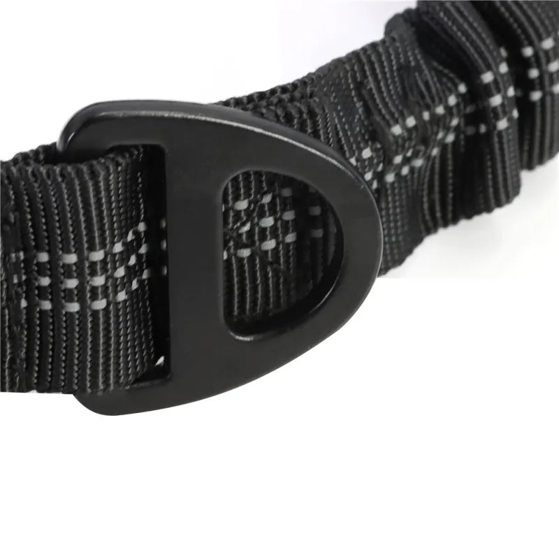 Elastic Dog Lead With Shock Absorption - Shock-absorbing Lead For Walks