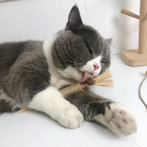 KittySticks - Tooth-Cleaning Toy for Cats