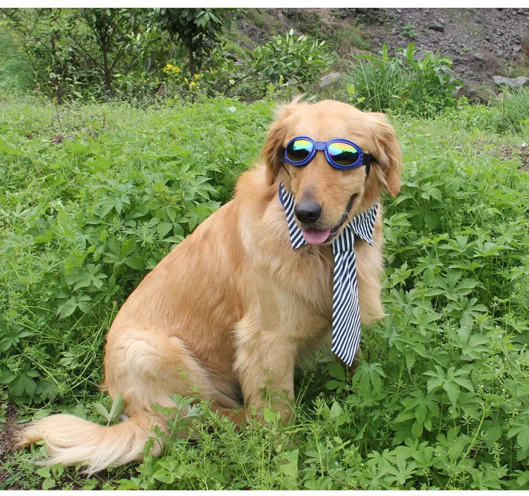 Dog Goggles Uv Protective Goggles In 7 Colours For Dogs