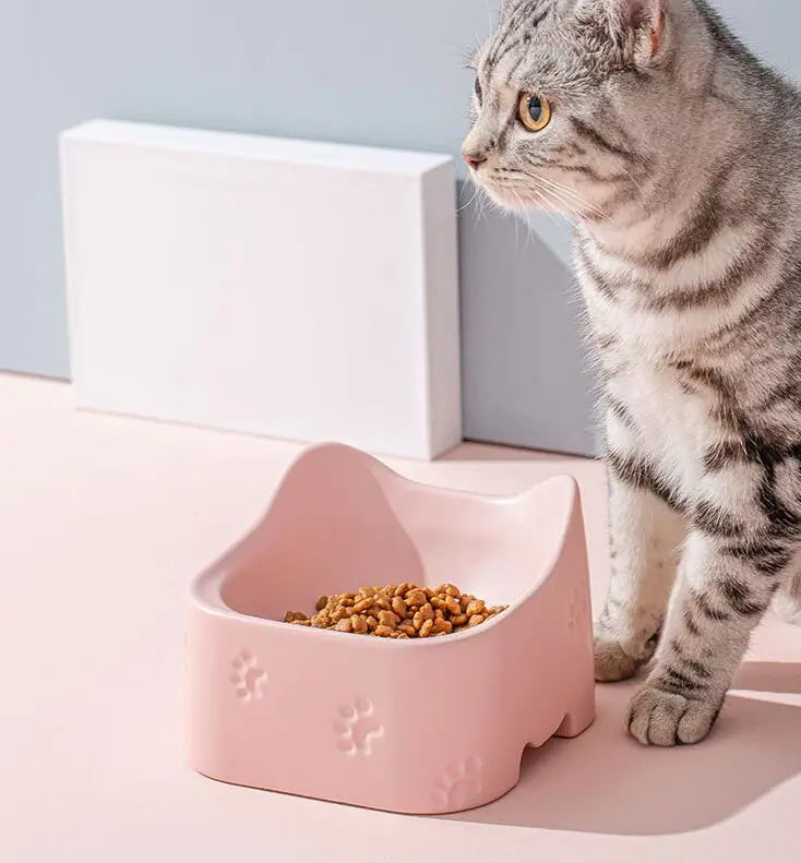 Raised Feeding Bowl For Cats - Ergonomic And Non-slip Design