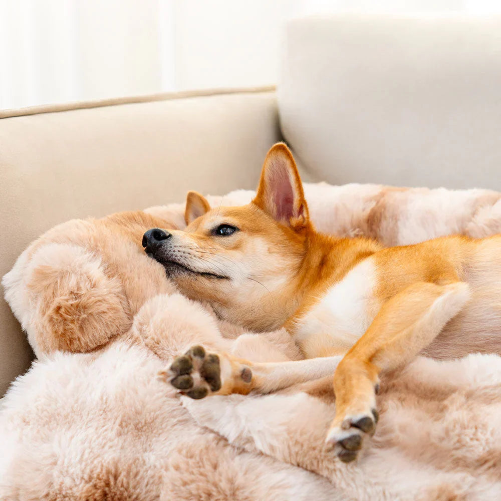 Cozy Dog Bed For Relaxed Sleep