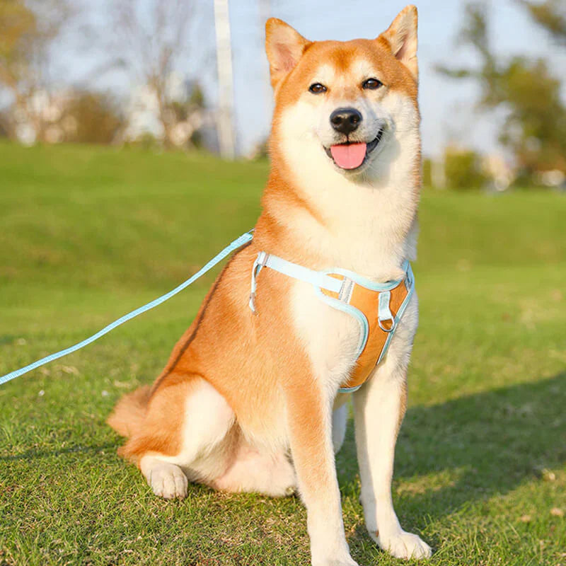 Reflective Dog Harness Set for Dogs