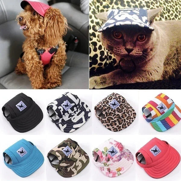 Fashionable Round Dog Cap