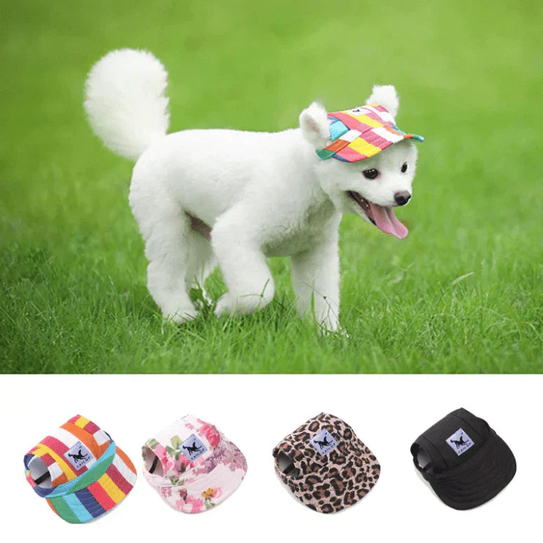 Fashionable Round Dog Cap