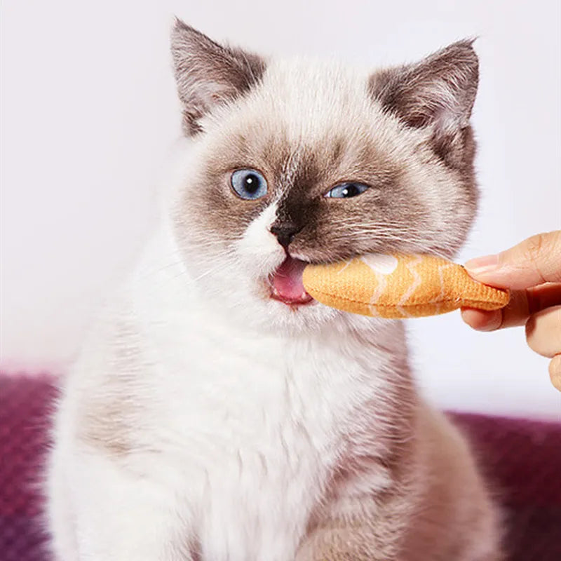 Interactive Cat Toy - Colourful Fish Toys in a Set for Chewing and Playing