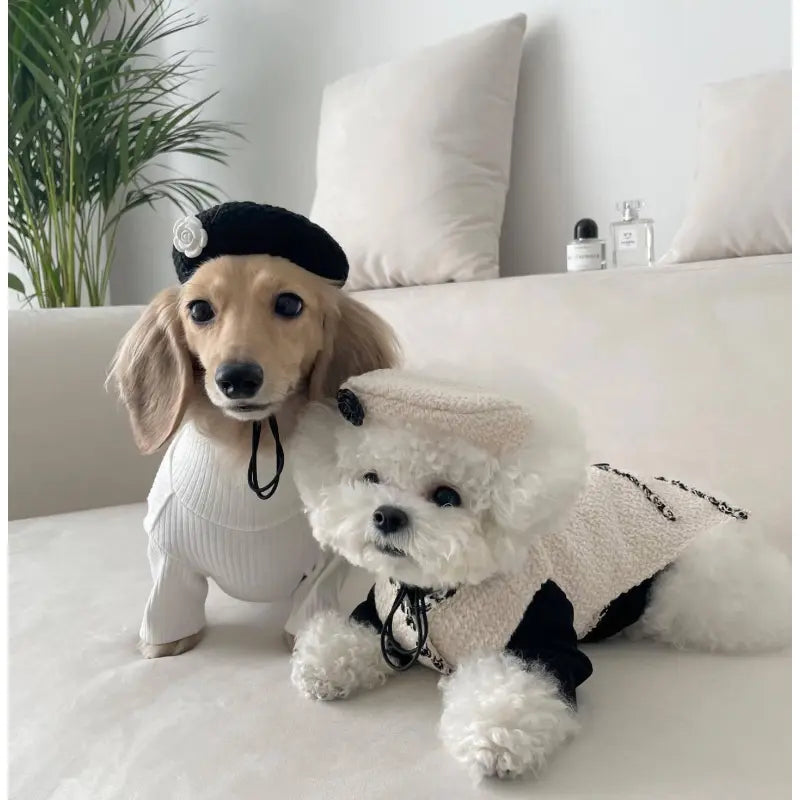 Elegant Dog Collar With Chic Little Hat And Flower Appliqué - Fashionable Design For Your Four - Legged Friend
