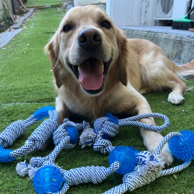 Dog Toy with Rubber Ball and Rope - Chew Toy for Pulling and Playing