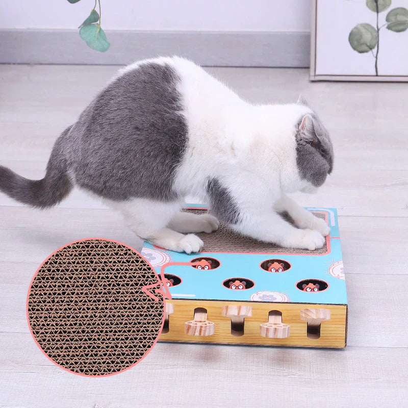 3in1 Play Box For Cats