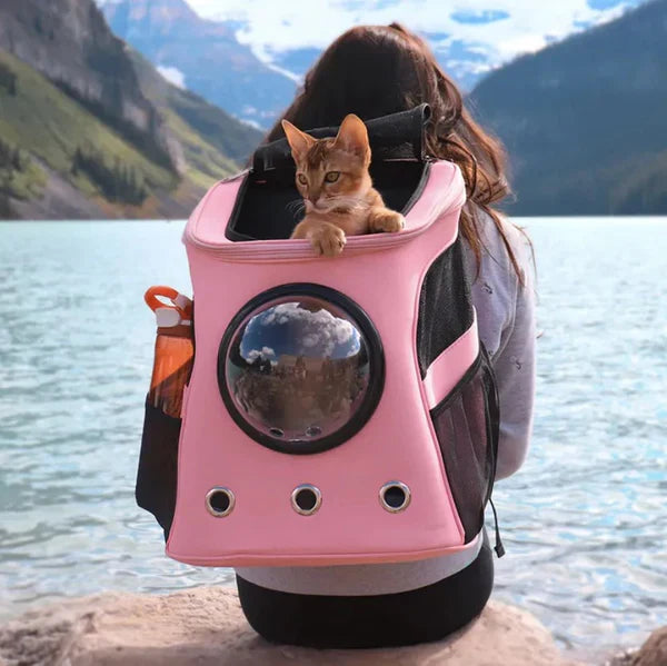 Cat Transport Bag