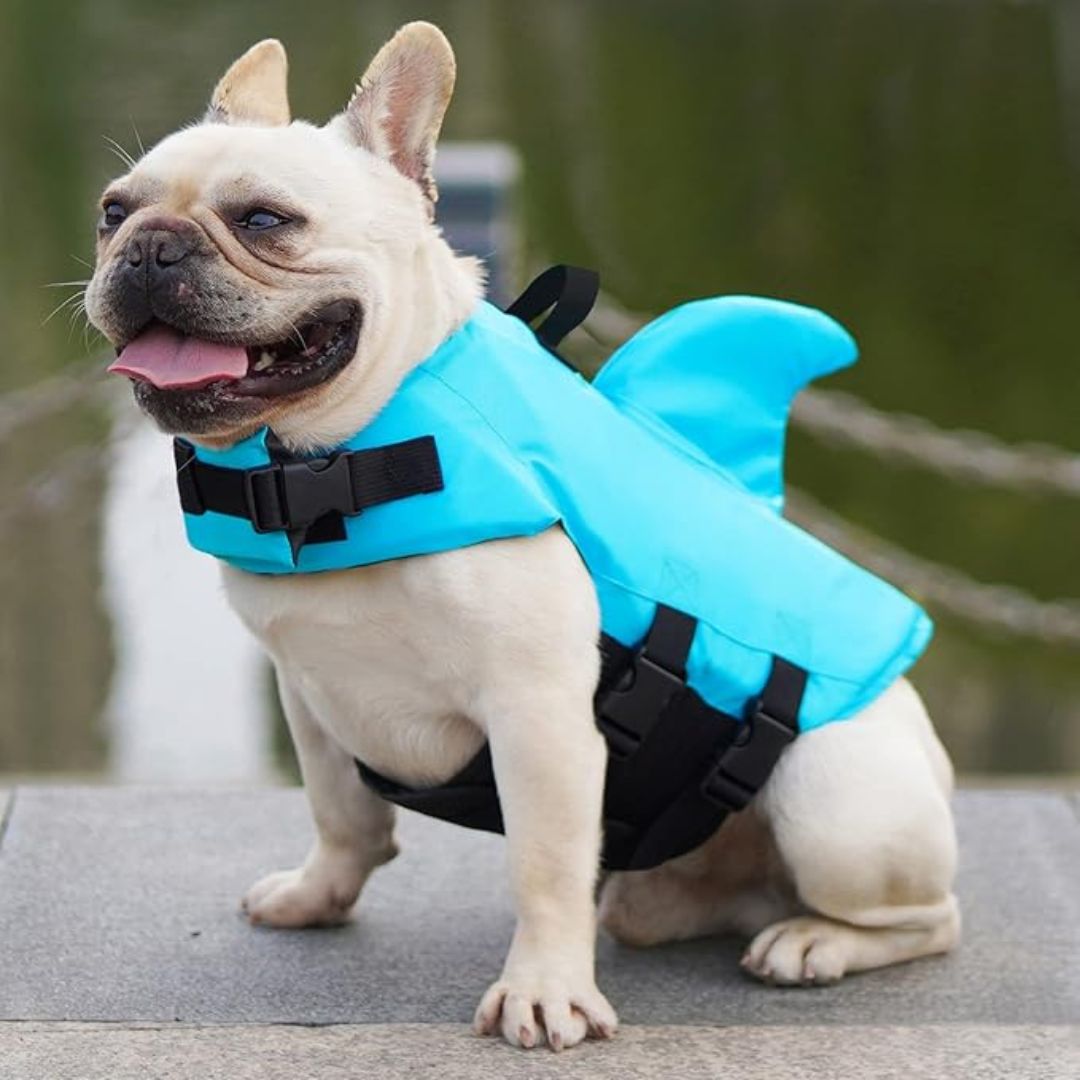 Dog Life Jacket