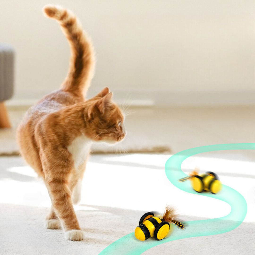 Interactive Bee Cat Toy With Feathers
