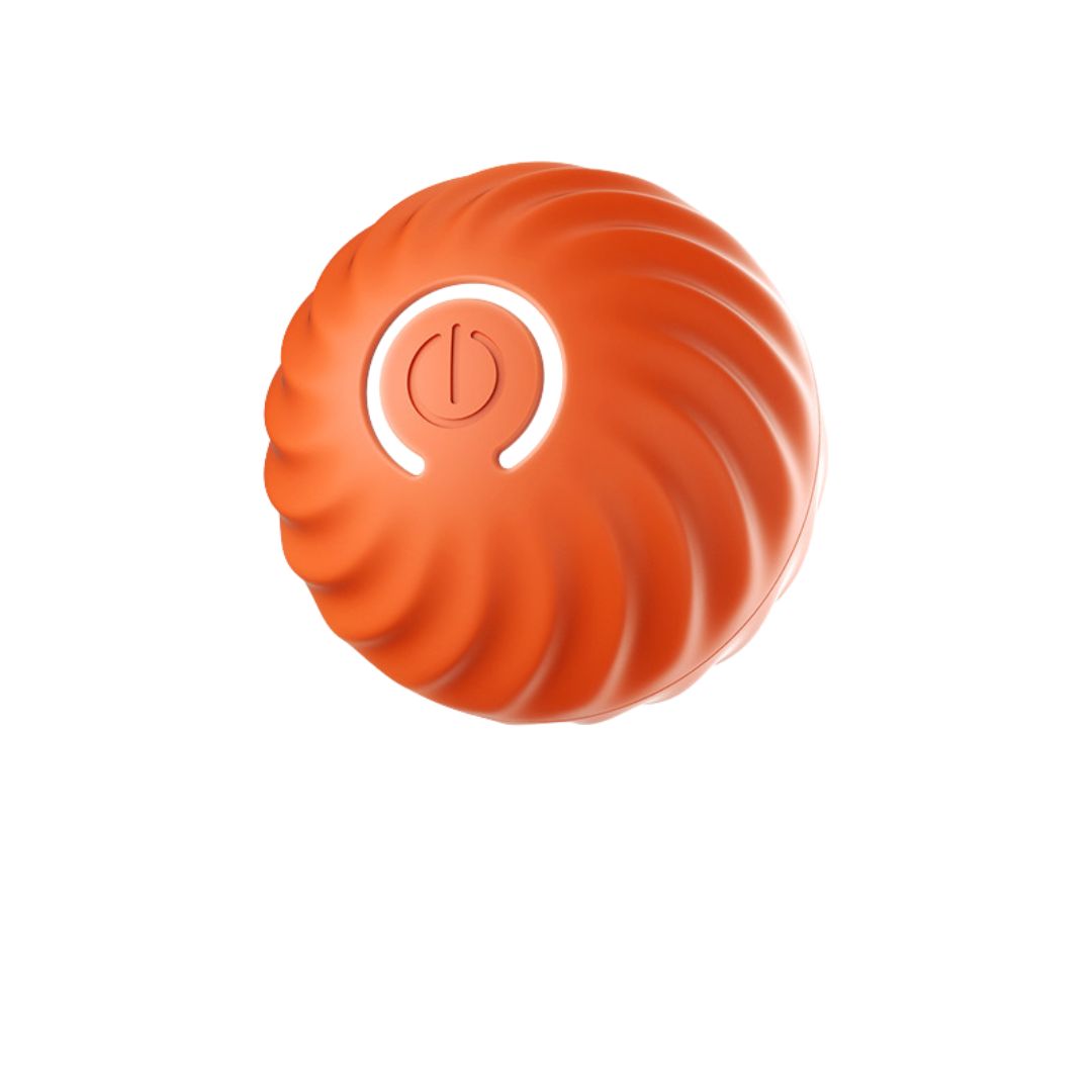 Interactive Bouncy Ball for Dogs