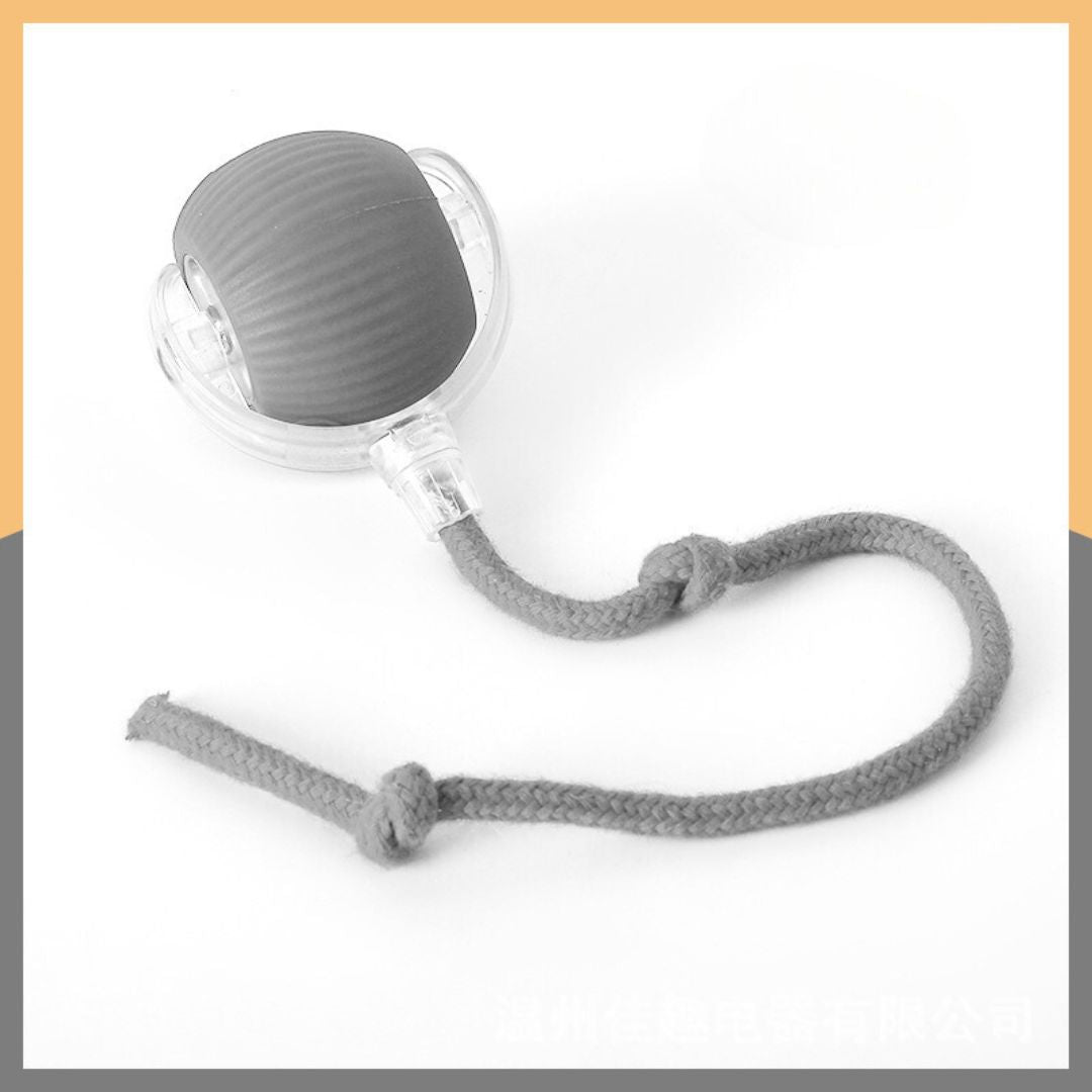 Interactive Play Ball With Tail For Cats