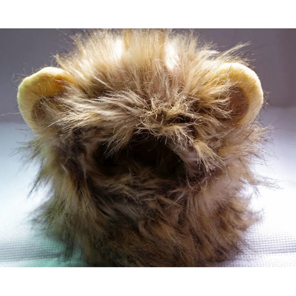 Cat Lion Mane Costume