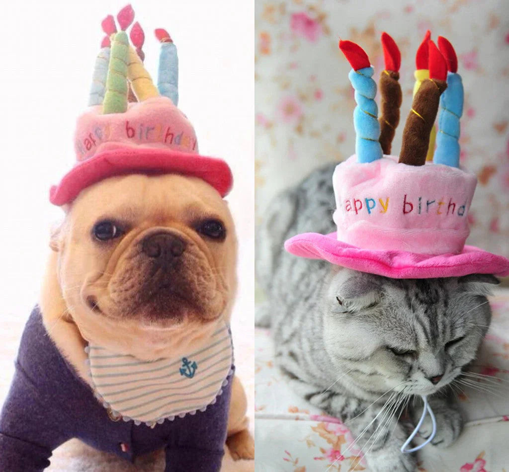Party Hat for Dogs and Cats