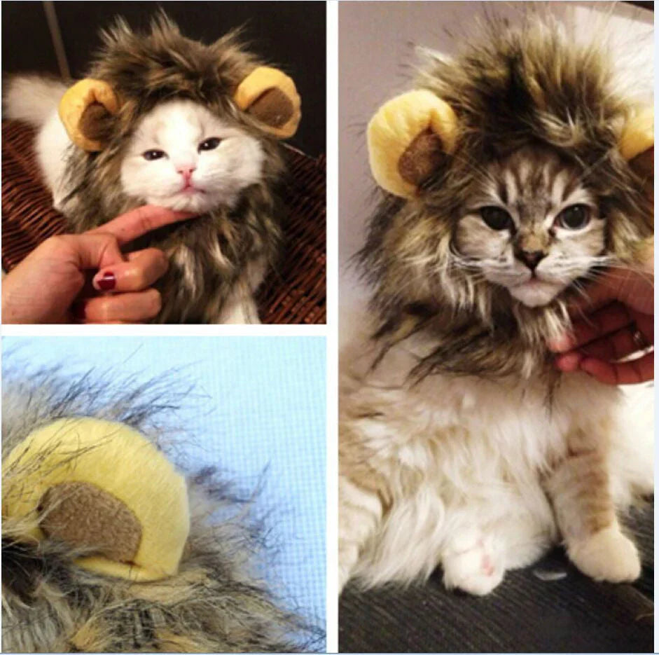 Cat Lion Mane Costume