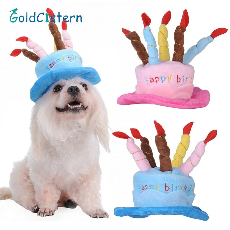 Party Hat for Dogs and Cats