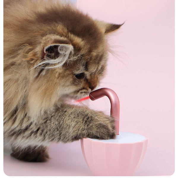 Cat Laser Wobble Toy