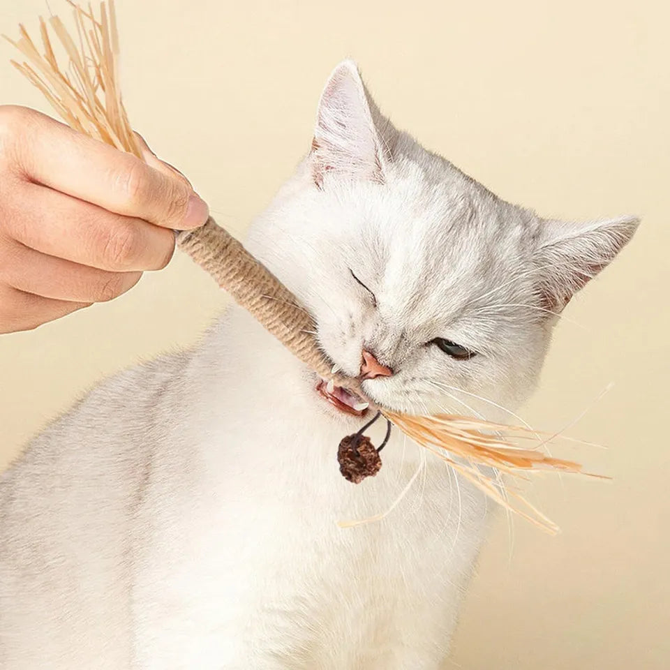 Kitty Dental Cleaning Sticks