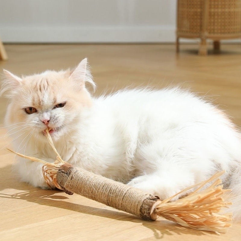 Kitty Dental Cleaning Sticks