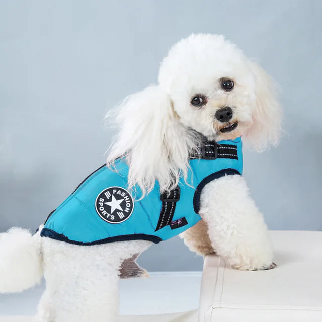 Wind and Waterproof Dog Jacket with Integrated Harness