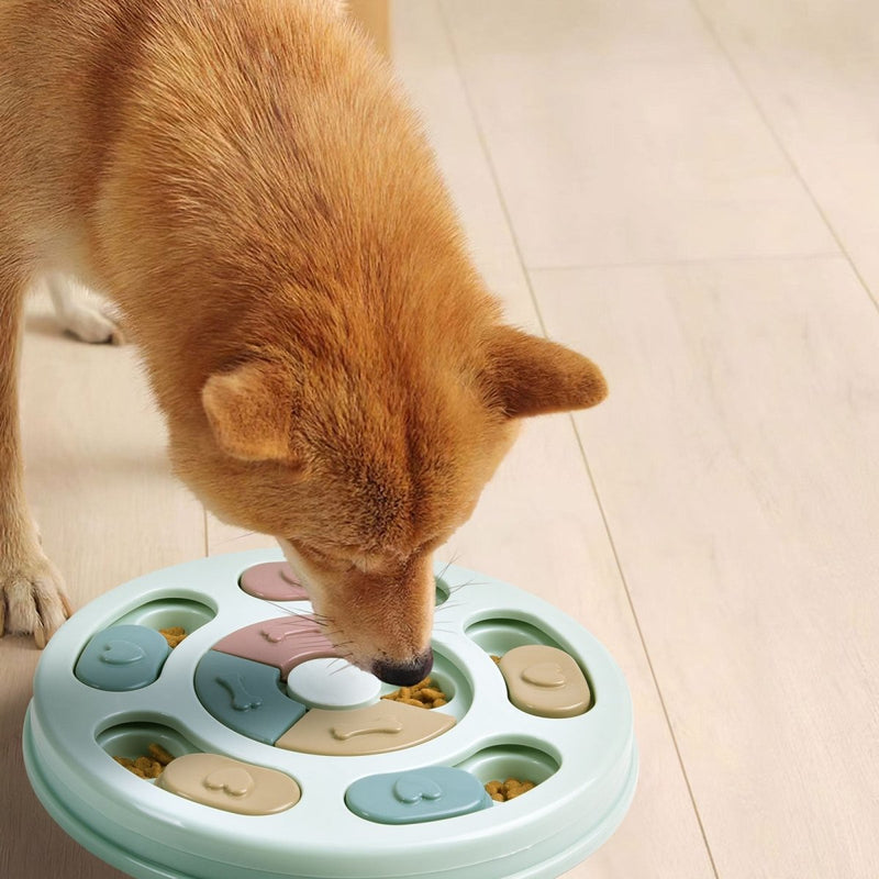 Activity Feeding Station Round