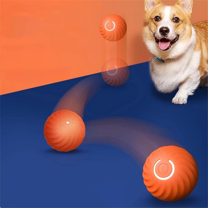 Interactive Bouncy Ball for Dogs