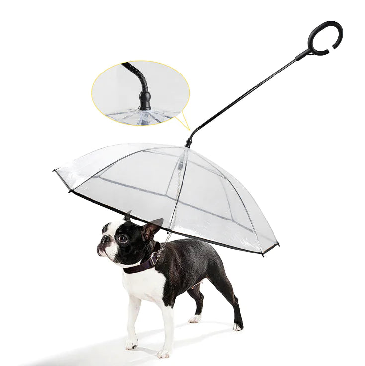 Transparent Umbrella for Dogs