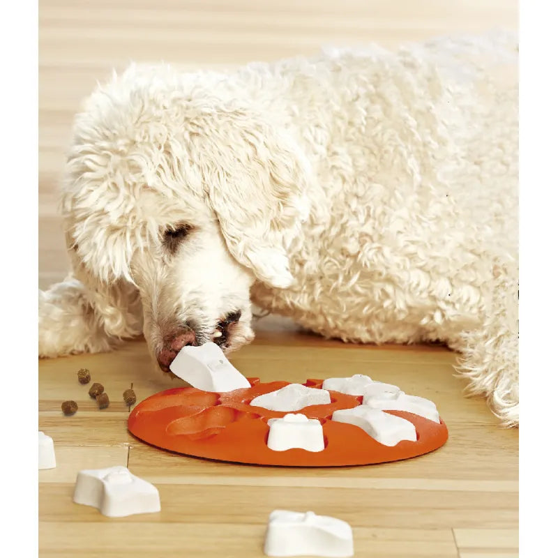 Intelligence Toy for Dogs - Interactive Dog Brain Game with Treat Hiding Place