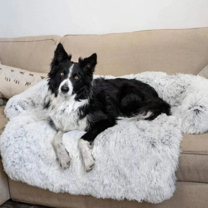 Luxurious Dog Sofa