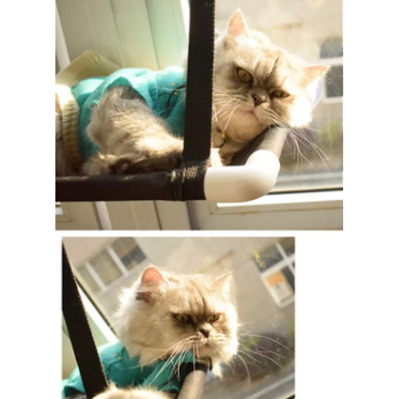 Cat Window Lounger - Space-saving And Stable With Suction Feet