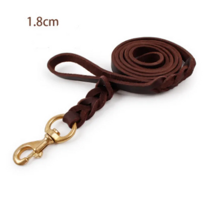 Leather Dog Lead With Golden Carabiner - Robust And Elegant Dog Accessory